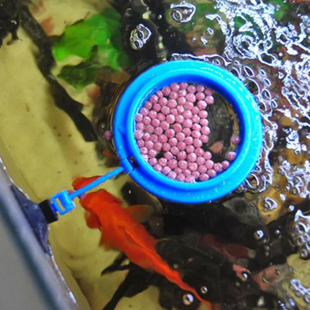 Fish Feeding Ring Feeder Fishi - Tetra Food Tropical Flakes recension och pris