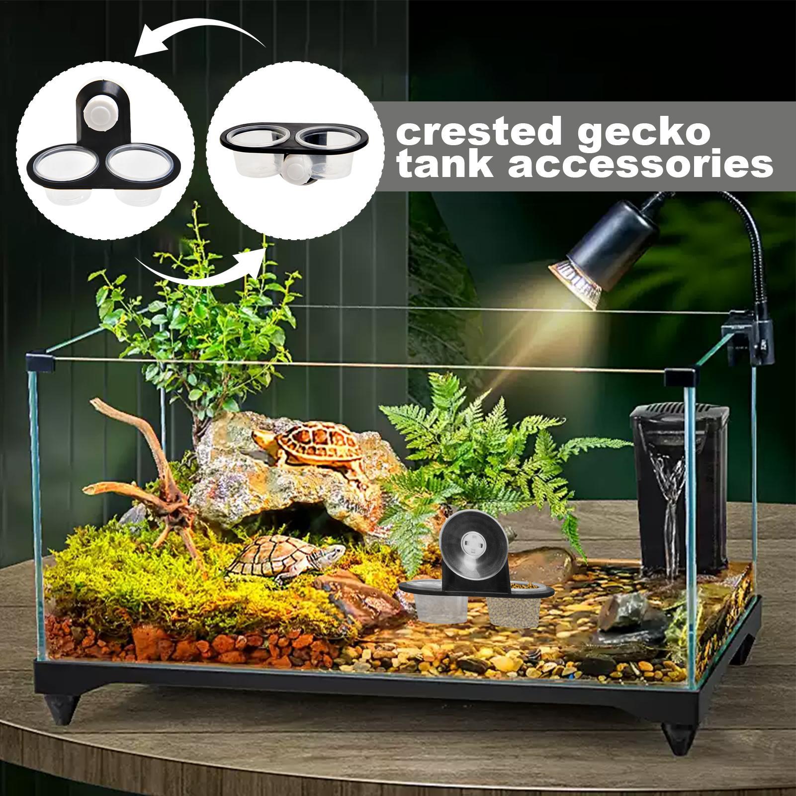 Gecko Food Dish Gecko Water Di - Water Dish Reptile recension och pris
