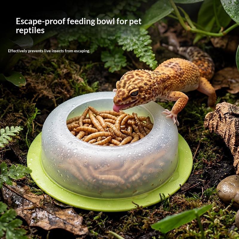1Pc ABS Reptile Feeding Dish A - Water Dish Reptile recension och pris
