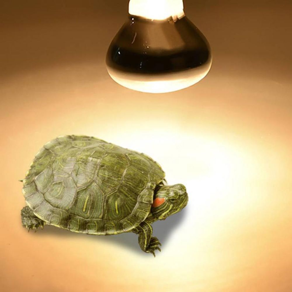 Turtle Heater Heat Lamp Reptil - Basking Bulb Halogen recension och pris