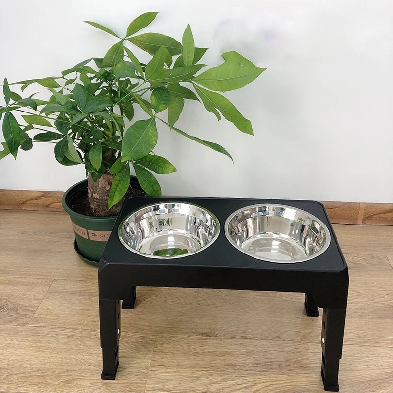 Adjustable Elevated Dog Feeder - Royal Canin Food Medium recension och pris